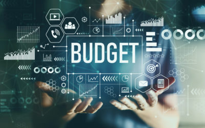 Article 2 – Budget et Placements